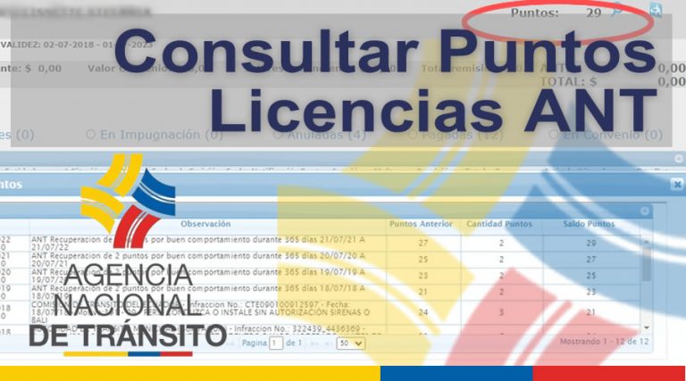 Consultar Multas Ant En Linea Portal De Tr Nsito Ecuador