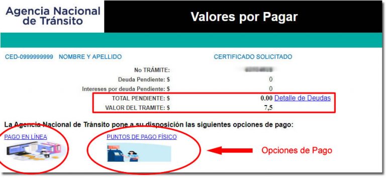 Certificado De Informaci N Del Conductor Ant Ecuador