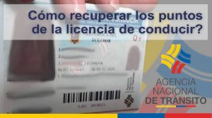 Recuperar puntos Licencia de Conducir Ecuador