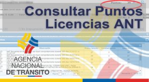 Consultar tus Puntos en la Licencia de Conducir ANT