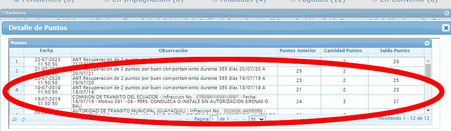 Detalle de puntos licencia de conducir