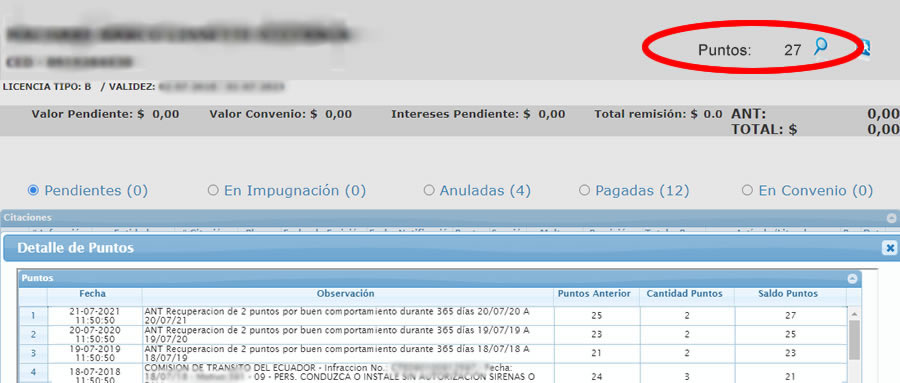 Consultar puntos licencia ant por cedula